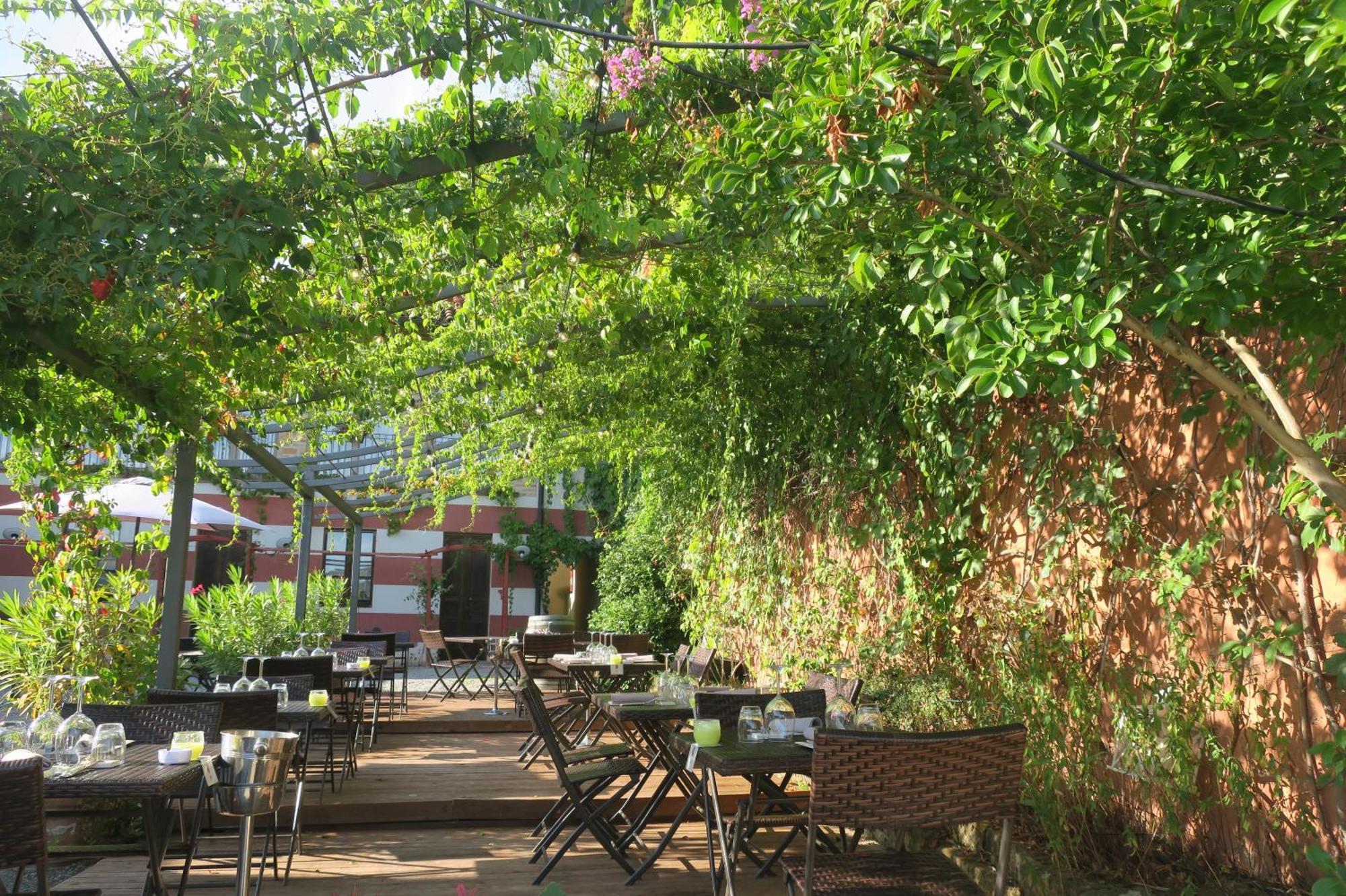 Foresteria Ristorante Conti Roero Monticello d'Alba Экстерьер фото